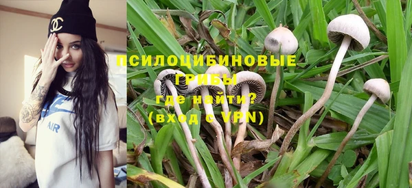 ешки Абаза