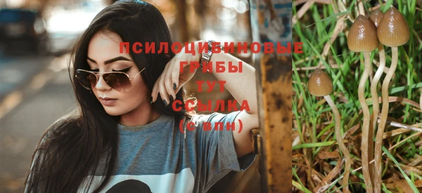 бутират Абинск
